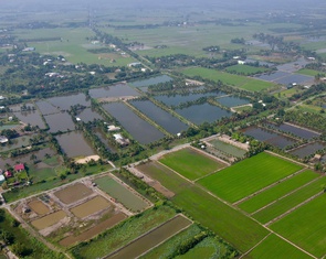 Bảng giá đất nông nghiệp TP.HCM dự kiến tăng, kéo giảm chênh lệch khi chuyển sang đất ở