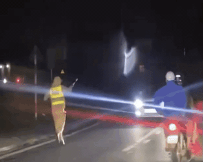 Cảnh sát ra hiệu dừng xe kiểm tra nồng độ cồn, tài xế lùi ô tô xuống ruộng