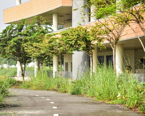 Hiện trạng bệnh viện 4.500 tỉ ở TP.HCM sau 10 năm khởi công: Thi công 'cho có', cỏ dại um tùm