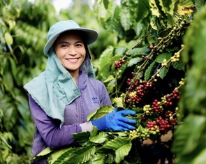 Nông sản Việt Nam đã có mặt ở hầu hết các quốc gia, vùng lãnh thổ trên thế giới