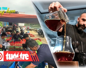 Điểm tin cùng bạn 8h: Bán tháo tôm hùm chạy bão số 13; Ly cà phê đắt nhất thế giới