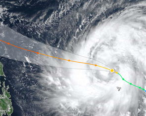 Bay đi giùm chim ơi!