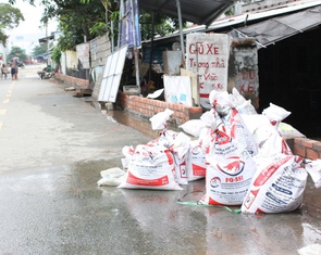 Dù đã xây 'tường thành', người dân Bình Quới, Tân Mỹ vẫn  khổ vì triều cường