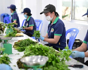 Tây Ninh trước cơ hội cân bằng kinh tế môi trường