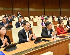 Tư nhân được đầu tư điện hạt nhân quy mô nhỏ, nhiều cơ chế cho điện gió ngoài khơi