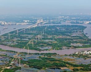 TP.HCM thúc tiến độ khởi công cầu Phú Mỹ 2 và cầu Cần Giờ vào đầu năm 2026