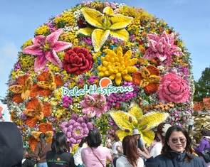 Bó hoa tươi khổng lồ ở Đà Lạt xác lập kỷ lục Việt Nam
