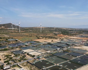 Gần 6.700 tỉ đồng thực hiện dự án di dời, tái định cư cho Nhà máy Điện hạt nhân Ninh Thuận 1