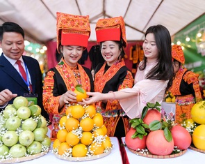 Từ vùng vải thiều, nông dân Bắc Ninh 'quay xe' trồng cam, bưởi VietGAP thu tiền tỉ