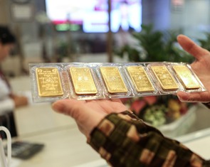 Giá vàng miếng SJC tăng thêm nửa triệu đồng/lượng