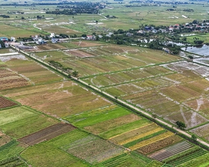 Những trường hợp nào được giảm 50-70% tiền sử dụng đất khi chuyển sang đất ở?