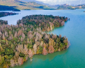 Đẹp mê mẩn cánh rừng phong hương rực đỏ như trời Âu ở miền Tây Quảng Trị