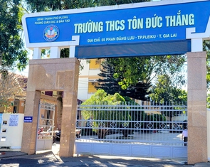 Nữ sinh lớp 7 bị bạn học đánh hội đồng ở Gia Lai