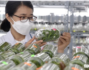 Khoa học và công nghệ mở ra cơ hội cách mạng mới trong nông nghiệp