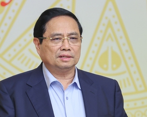 Thủ tướng yêu cầu nghiên cứu xây dựng Luật Kinh doanh cá thể