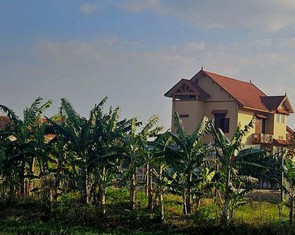 Tổ dân phố cho cựu bí thư xã thuê đất giá 500.000 đồng/năm, quy định cho thuê đất công ra sao?