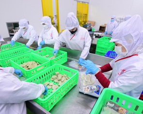 Từ 1-1 tăng mức lương tối thiểu cho người lao động; Miễn thuế sử dụng đất nông nghiệp đến hết 2030