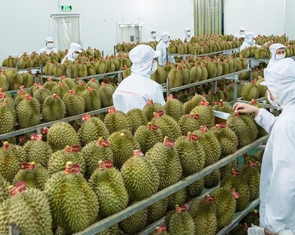 Xuất khẩu nông lâm thủy sản lập kỷ lục mới sau 11 tháng