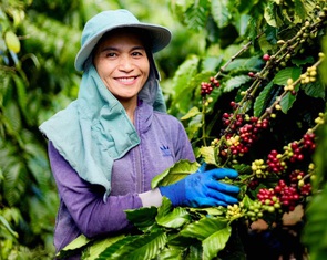 Xuất khẩu nông lâm thủy sản năm 2025 đạt 70,09 tỉ USD, cao nhất từ trước đến nay