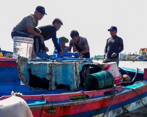 Bình Thuận lũ rút chậm, người dân gượng dậy sau hai 'đòn nước' dữ