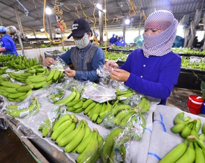 Tây Ninh là điểm đến mới của ngành chế biến sâu, thực phẩm chất lượng cao