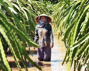 Dân thiệt hại nặng vì hồ xả lũ, công ty không có tiền đền