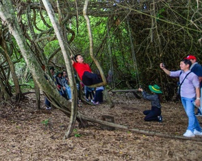 Tây Ninh mới: một trục, một dòng chảy