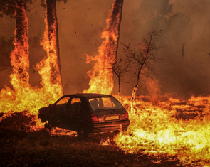 Năm 2025 có thể là năm nóng thứ hai trong lịch sử Trái đất