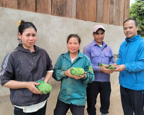 Cấp hơn 3.000 cây sâm Ngọc Linh giống giúp bà con Xơ Đăng thoát nghèo