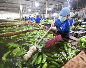 Ám ảnh thất nghiệp từ sau dịch COVID-19, lao đao tìm việc ở tuổi trung niên