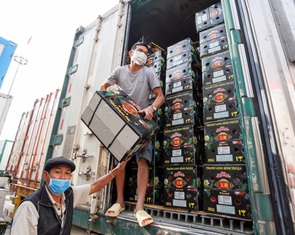 Kiểm soát dư lượng hóa chất trong trái cây: phải làm từ gốc, phối hợp với công an