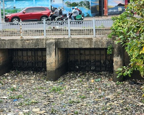 Sau mưa, rác và cá chết bốc mùi hôi trên kênh Nhiêu Lộc - Thị Nghè