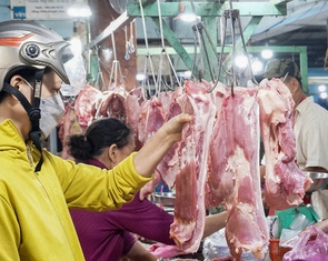 Doanh nghiệp lại muốn tăng giá bán thịt heo vì 'hết gồng nổi'
