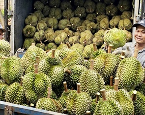 Nông sản Việt hứa hẹn tiếp tục rộng đường sang Trung Quốc
