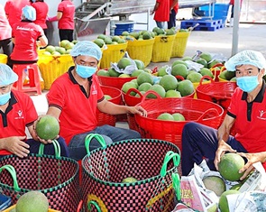 Nhiều quy định mới nghiêm ngặt hơn, hàng nông sản xuất khẩu EU vướng thêm rào cản