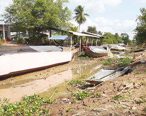 Bộ Nông nghiệp và Môi trường báo cáo Thủ tướng tình trạng xâm nhập mặn ở miền Tây