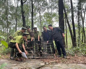 Huế không cấp phép hội thi chim chào mào vì lo tận diệt chim trời