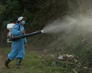 Sốt xuất huyết Dengue: Không còn theo mùa, nguy cơ bùng phát khó lường