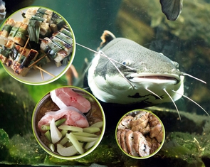 Chỉ vì cái tội 'da trơn'
