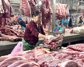 Giá thịt heo sẽ sớm 'hạ nhiệt'