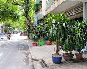 Chậu cây, ghế đá chiếm lối, 'đi bộ trên vỉa hè mà như đi nhờ nhà người khác’