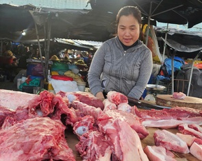 Vì sao giá heo hơi miền Nam đang cao nhất cả nước?