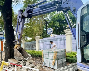 Tự ý chặt cây xanh đô thị, cá nhân và tổ chức bị phạt ra sao?
