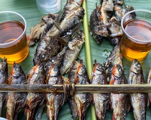 Về đại ngàn Trường Sơn ăn con cá mát