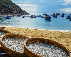 Chuyến giang hồ yến ẩm xứ Nẫu