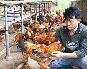 Thanh niên chung tay, gần 2.000 sản phẩm OCOP lên sàn thương mại điện tử