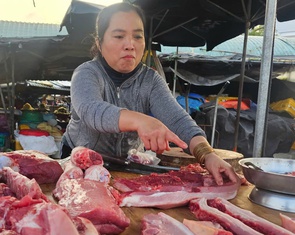 Heo giá tốt mà người nuôi vẫn còn lo lắng