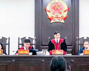 Hầu tòa vì trốn thuế trong giao dịch mua bán nhà đất trị giá 16 tỉ đồng