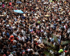 300.000 lượt du khách về đền Hùng trước ngày chính hội