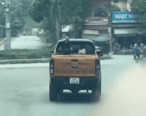 Tài xế xe bán tải chở hai trẻ nhỏ trên thùng xe bị xử phạt, trừ 6 điểm bằng lái